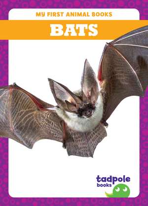 Bats de Natalie Deniston