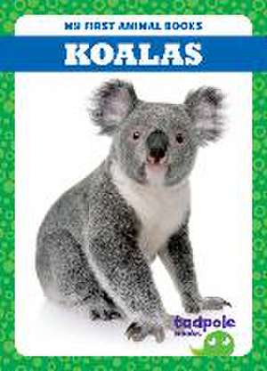 Koalas de Natalie Deniston