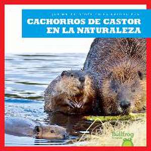 Cachorros de Castor En La Naturaleza (Beaver Kits in the Wild) de Katie Chanez