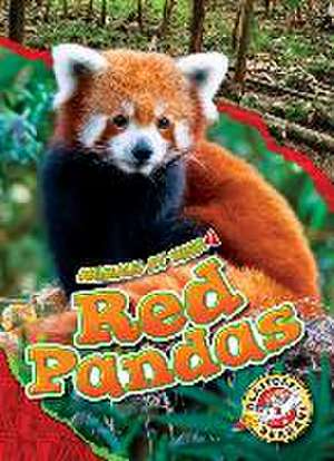 Red Pandas de Rachel Grack