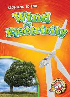 Wind to Electricity de Bryan Langdo