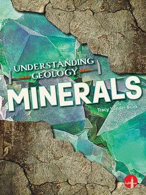 Minerals de Tracy Vonder Brink