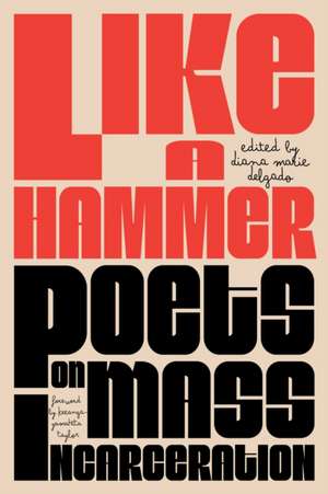 Like a Hammer de Diana Marie Delgado