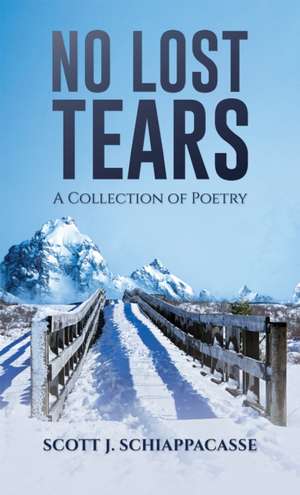No Lost Tears de Scott J. Schiappacasse