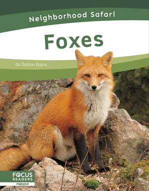 Rains, D: Foxes de Dalton Rains