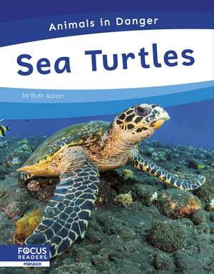 Sea Turtles de Ruth Aaron