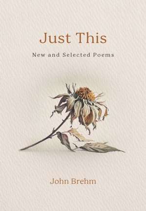Just This de John Brehm