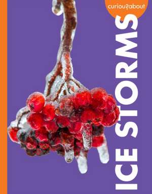 Curious about Ice Storms de Deborah Scigliano