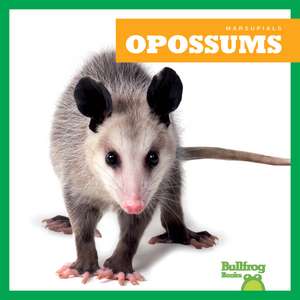 Opossums de Natalie Deniston