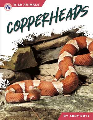 Copperheads de Abby Doty