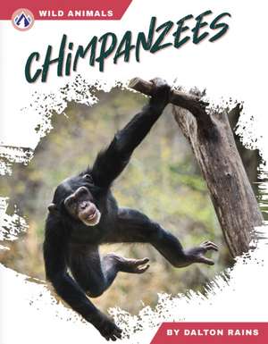 Chimpanzees de Dalton Rains
