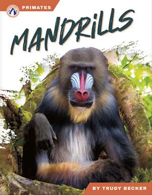 Mandrills de Trudy Becker