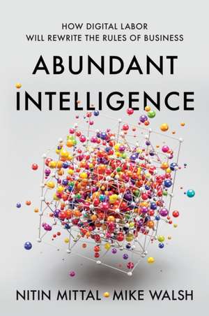 Abundant Intelligence de Nitin Mittal