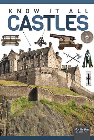 Castles de Louise Nelson