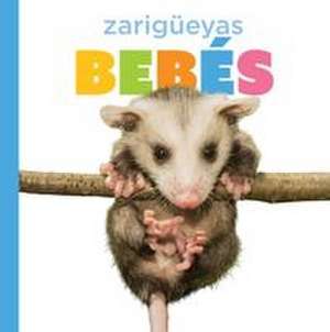Zarigüeyas Bebés de Graham Morgan