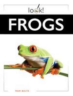 Frogs de Mari Bolte