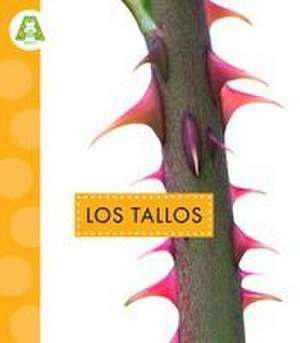 Los Tallos de Ana Brauer