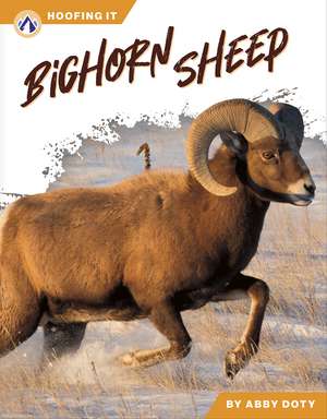 Bighorn Sheep de Abby Doty