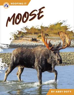 Moose de Abby Doty