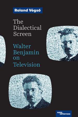 The Dialectical Screen: Walter Benjamin on Television de Roland Vegso