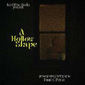 A Hollow Shape de David C Porter