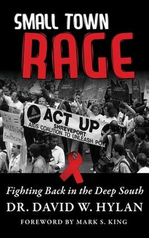 Small Town Rage de David W Hylan