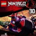 LEGO® Ninjago Teil 30