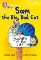 Sam and the Big Bad Cat