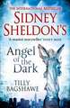 Sidney Sheldon's Angel of the Dark