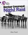BIG CAT PROGRESS - BOMBER COMM