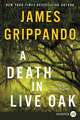 A Death in Live Oak: A Jack Swyteck Novel