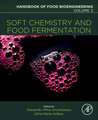 Soft Chemistry and Food Fermentation