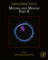 Mitosis and Meiosis Part B