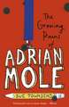 The Growing Pains of Adrian Mole