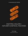 Enzymes, Volume 1: Nature's Chemical Machines