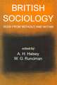 British Sociology Seen from Without and Within