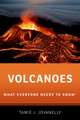Volcanoes: What Everyone Needs to Know®
