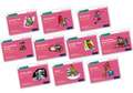 Read Write Inc. Phonics: Pink Set 3 Core Storybooks (Mixed Pack of 10)