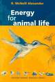 Energy for Animal Life