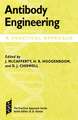 Antibody Engineering: A Practical Approach