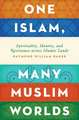 One Islam, Many Muslim Worlds: Spirituality, Identity, and Resistance across Islamic lands