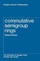 Commutative Semigroup Rings