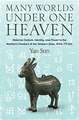 Many Worlds Under One Heaven – Material Culture, Identity, and Power in the Northern Frontiers of the Western Zhou, 1045–771 BCE