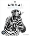 Animal: The Definitive Visual Guide