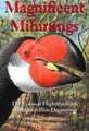 Magnificent Mihirungs – The Colossal Flightless Birds of the Australian Dreamtime