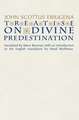 Treatise on Divine Predestination