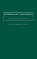 Racial Issues in Criminal Justice: The Case of African Americans