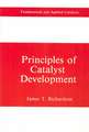 Principles of Catalyst Development