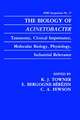 The Biology of Acinetobacter: Taxonomy, Clinical Importance, Molecular Biology, Physiology, Industrial Relevance