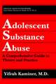 Adolescent Substance Abuse: A Comprehensive Guide to Theory and Practice